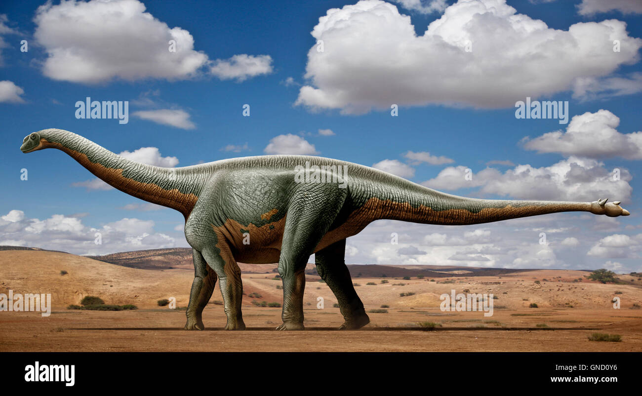 Shunosaurus, un genere di sauropod dinosaur da Middle Jurassic Foto Stock