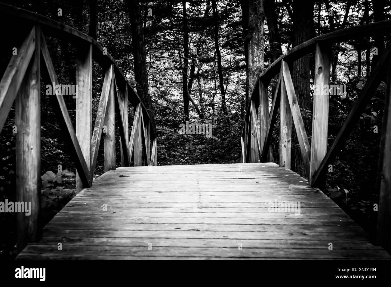 Nel bosco. Il livello del suolo vista del ponte di legno, in bianco e nero. Foto Stock