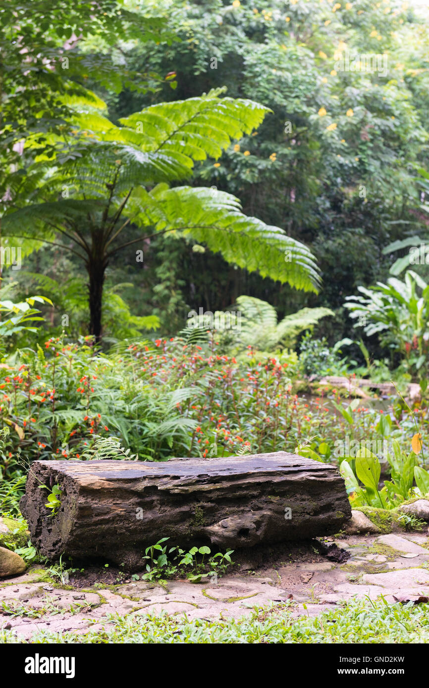 Log / sedia in legno in giardino verde. Foto Stock