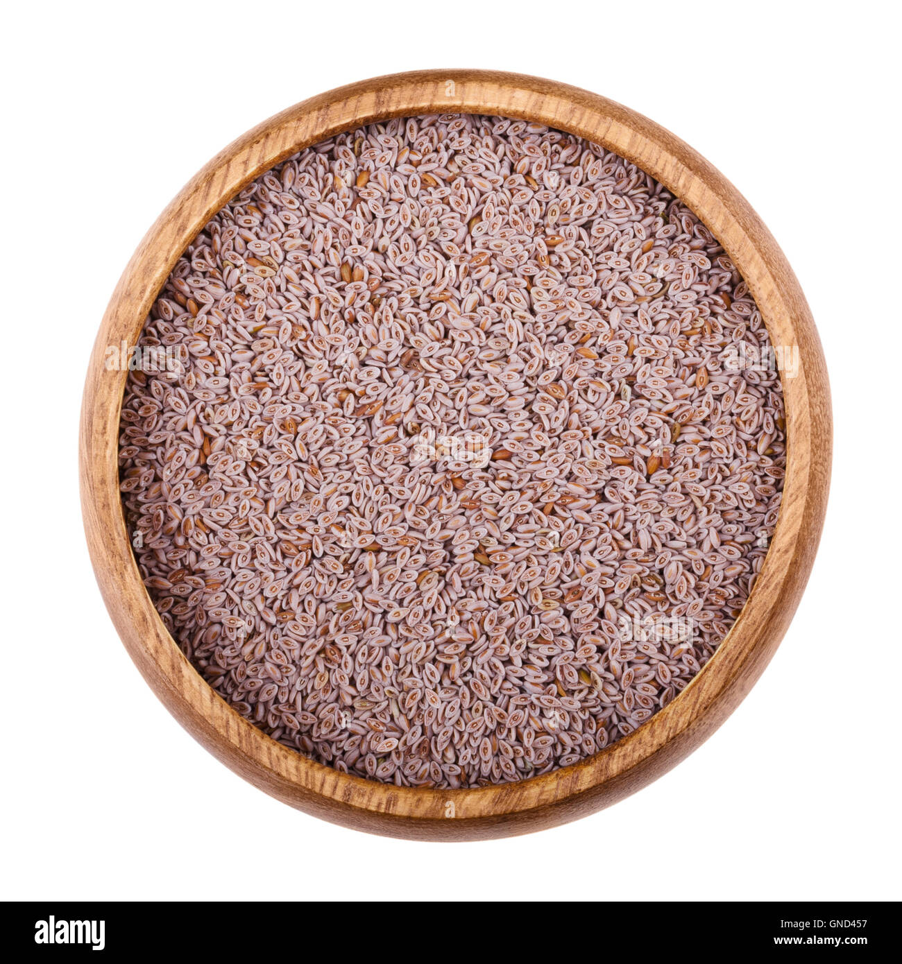 Psillio gusci di semi in una ciotola di legno su sfondo bianco. Frutta secca, utilizzato in cucina per produrre una mucillagine commestibili. Foto Stock