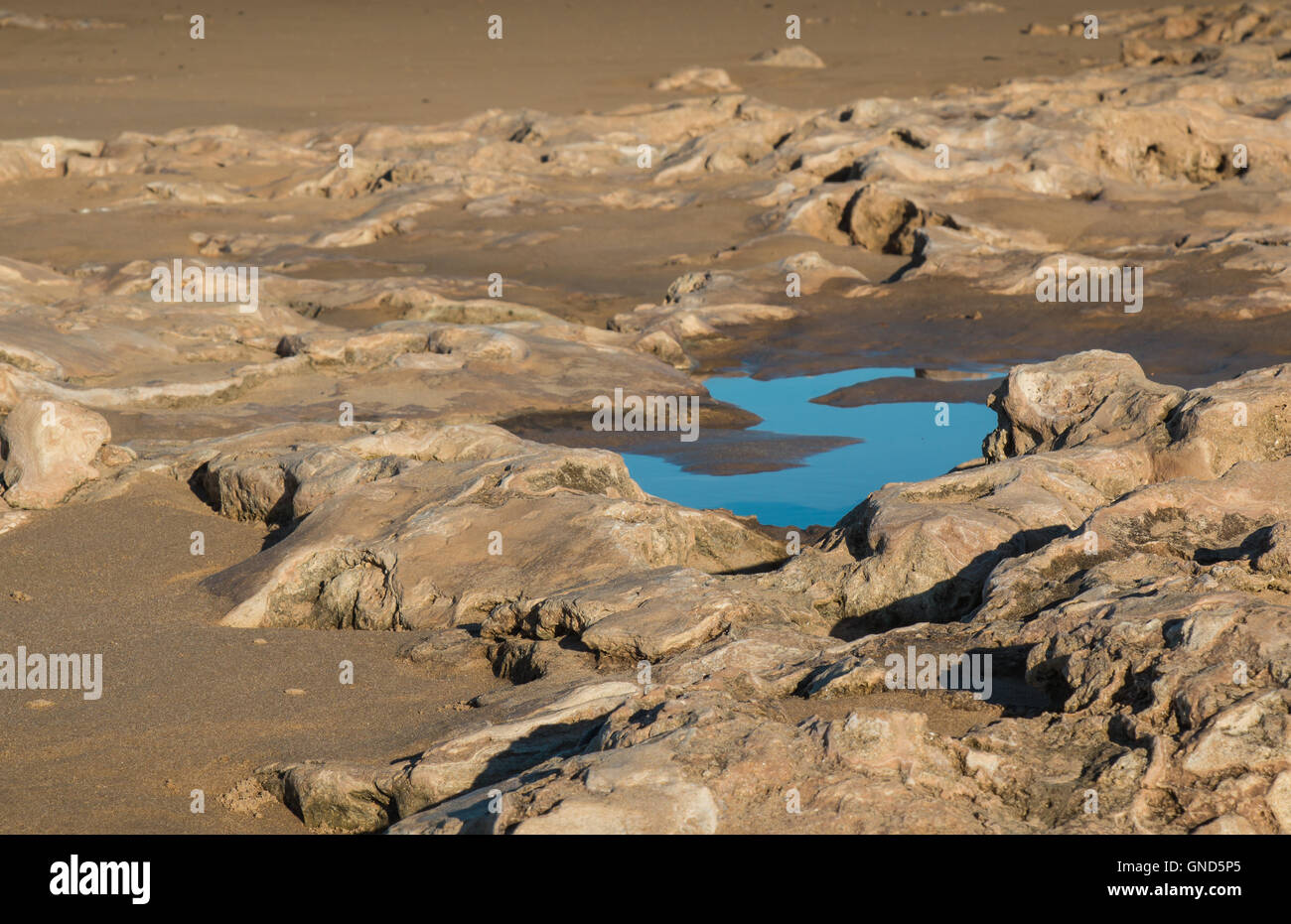 Poco rocce nel colore della sabbia. Pozza in una forma della lettera S, che riflette il blu del cielo. Riva dell Oceano Atlantico in Marocco. Foto Stock