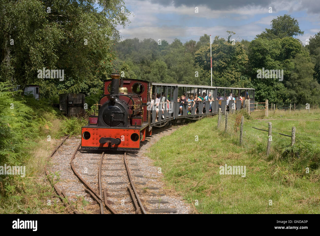 "Jerry M' tirando il treno sulla Ferrovia di cava a lavoro Hollycombe steam museum Foto Stock