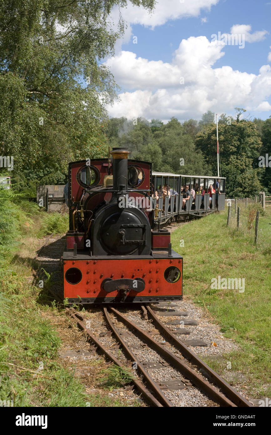 "Jerry M' cale di treno sulla Ferrovia di cava a Hollycombe lavoro di raccolta del vapore Foto Stock