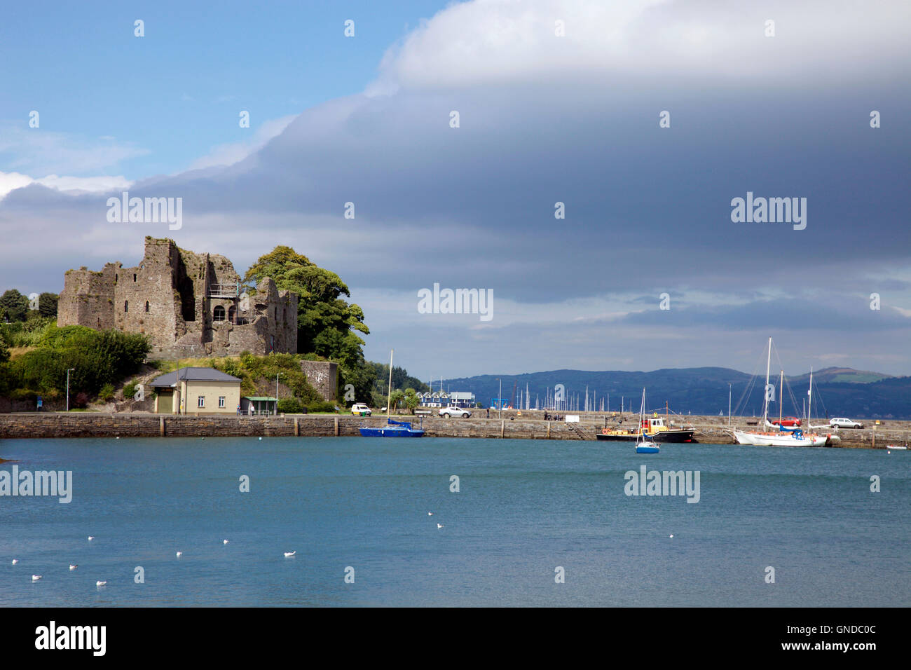 Il re Giovanni il castello affacciato Carlingford Lough, Irlanda Foto Stock