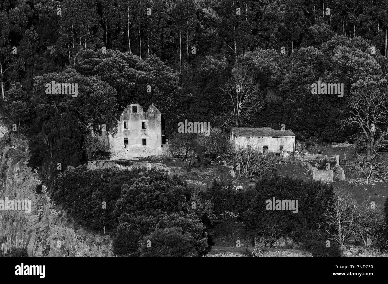 La solitudine da sola casa accoccolato sul lato di una collina nel villaggio di Berria, Santoña, Cantabria, Spagna. Foto Stock