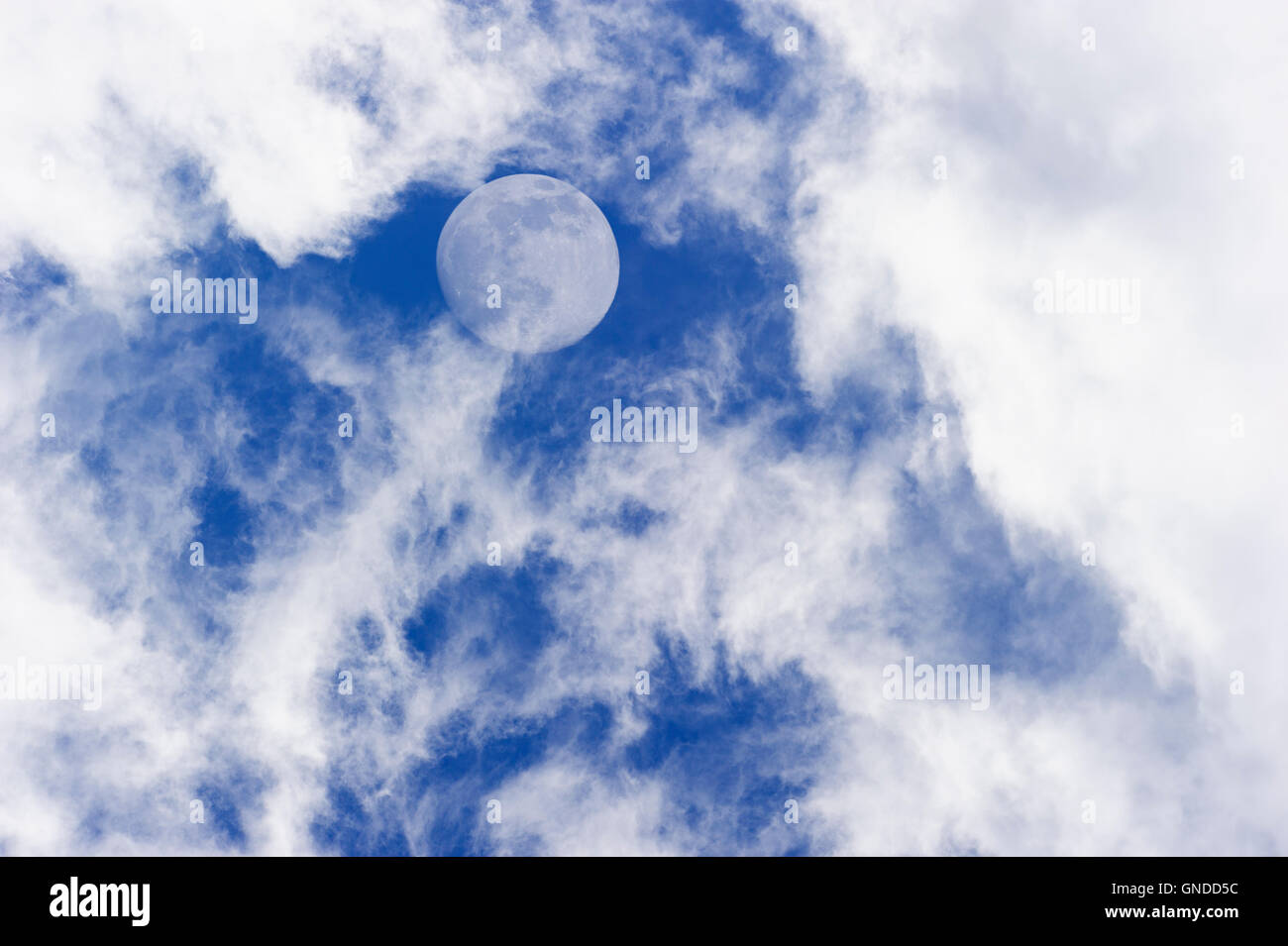Luna nuvole è una panoramica diurna di bianco wispy cumulus nubi insieme contro un profondo cielo blu come la luna piena sorge nel cielo. Foto Stock