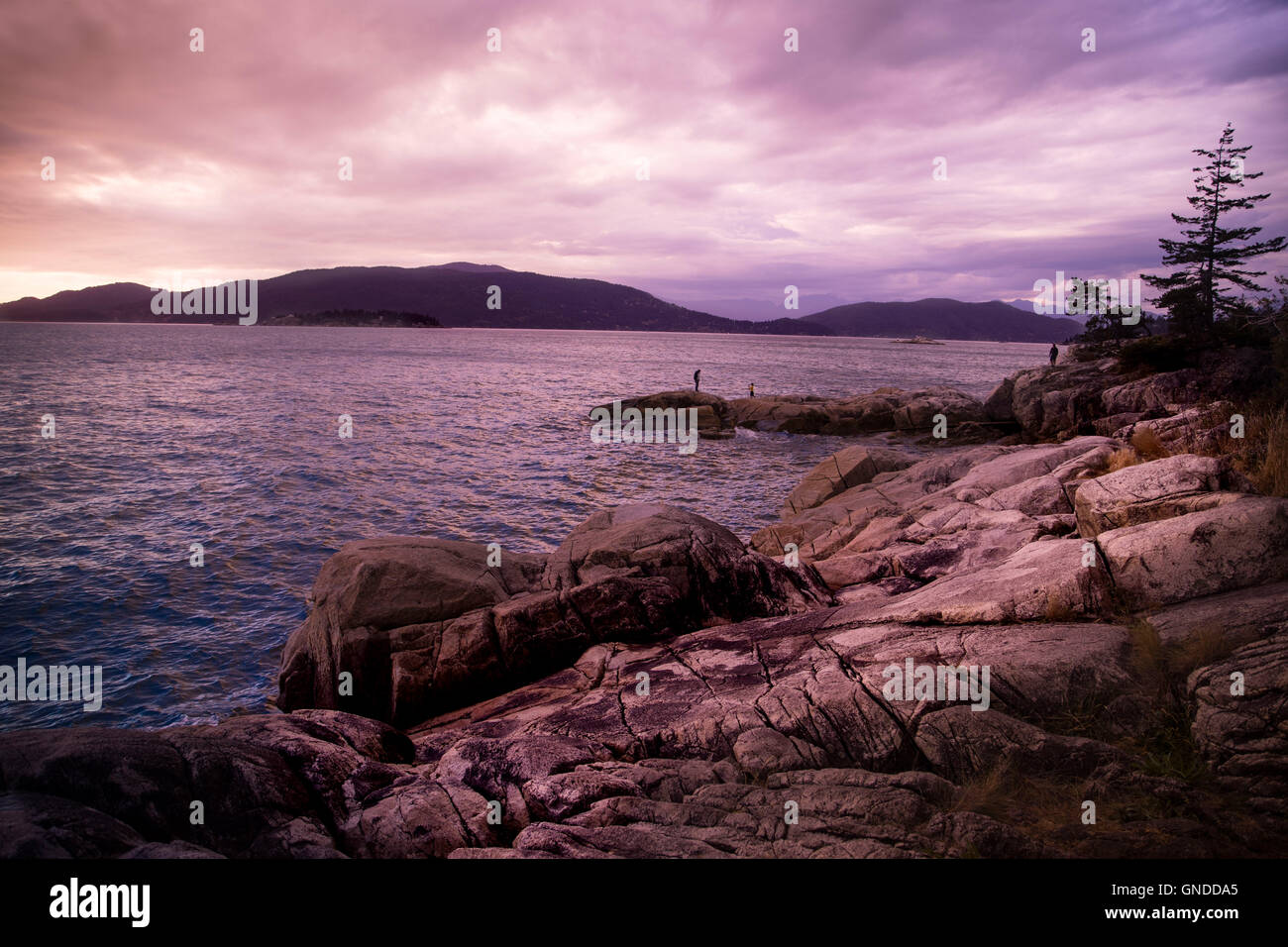 Lighthouse Park, Vista panoramica dal lato ovest. BC, Canada. Foto Stock