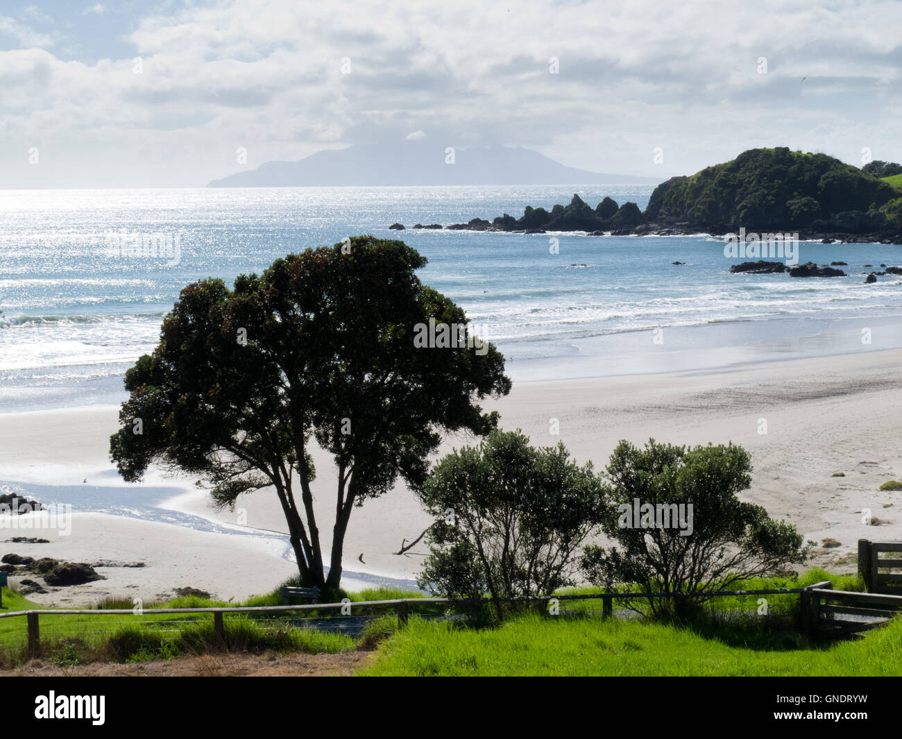 Bellissimo il paesaggio costiero, Tawharanui, NZ Foto Stock
