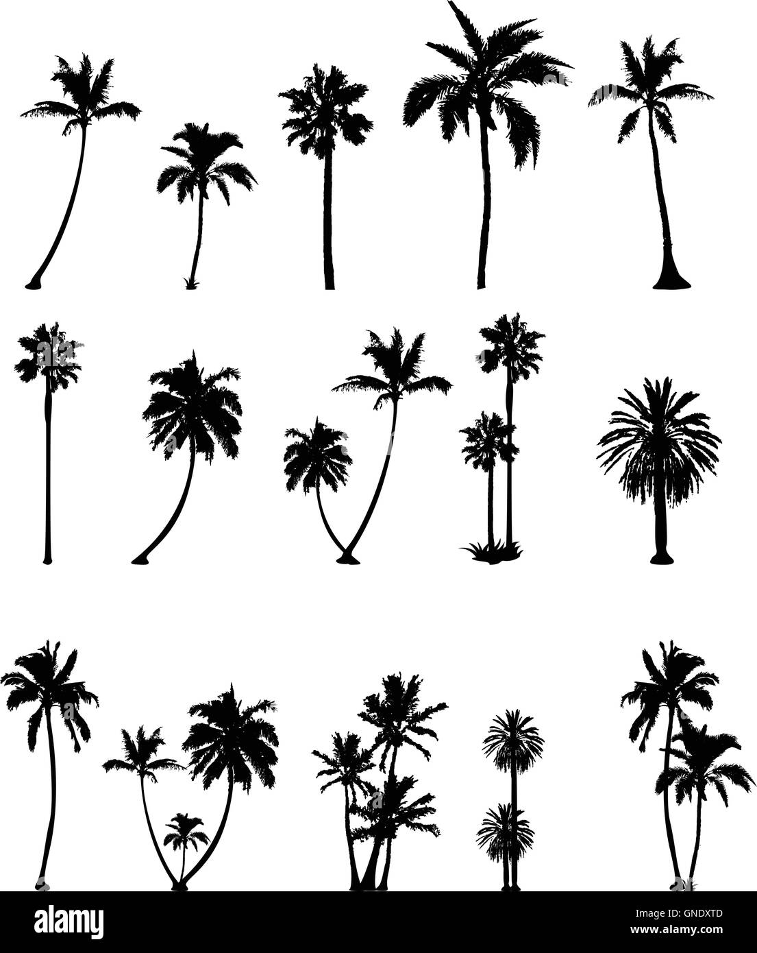 Palm tree silhouette collection Illustrazione Vettoriale