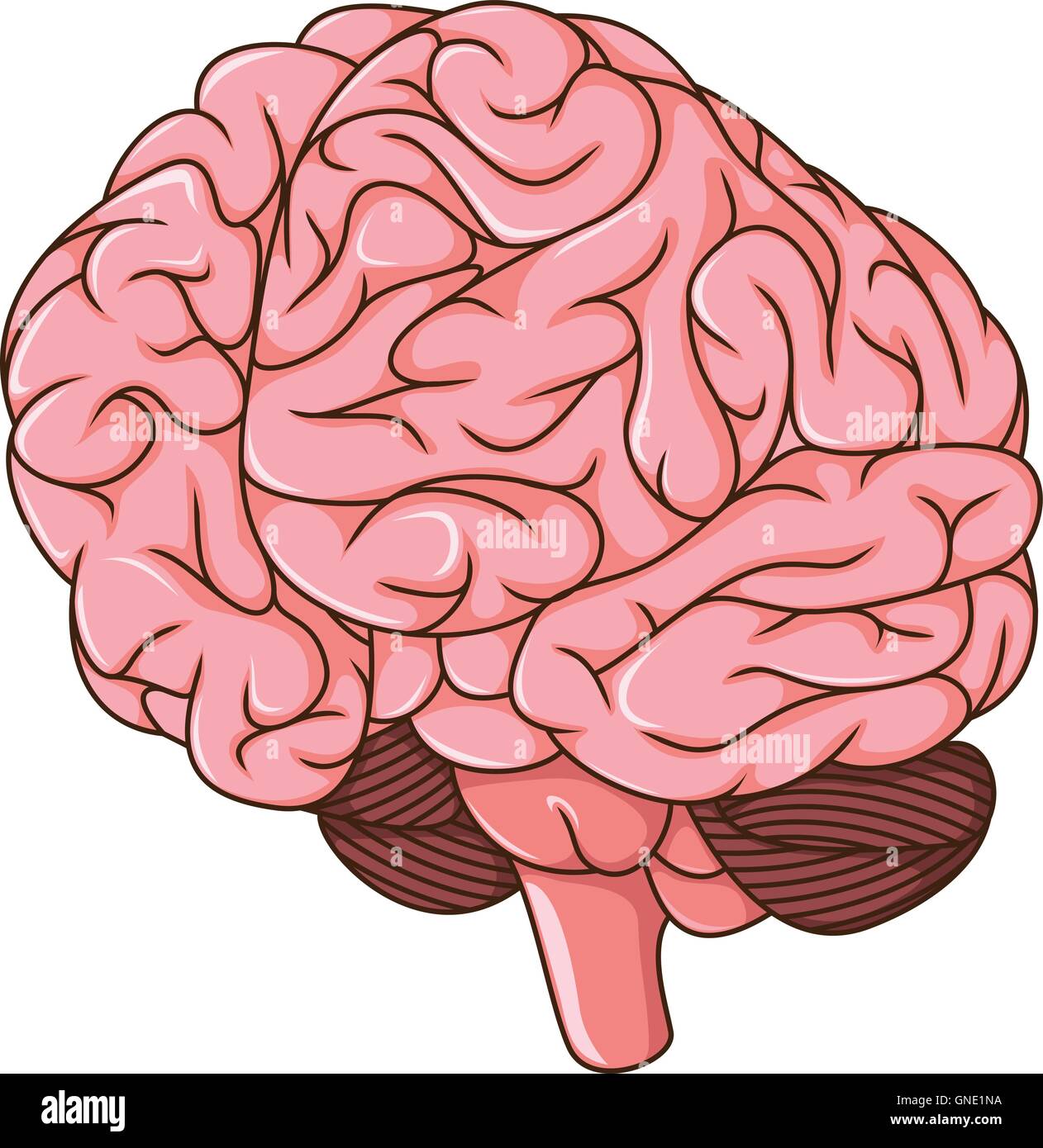 Cervello umano i coaguli cartoon Illustrazione Vettoriale