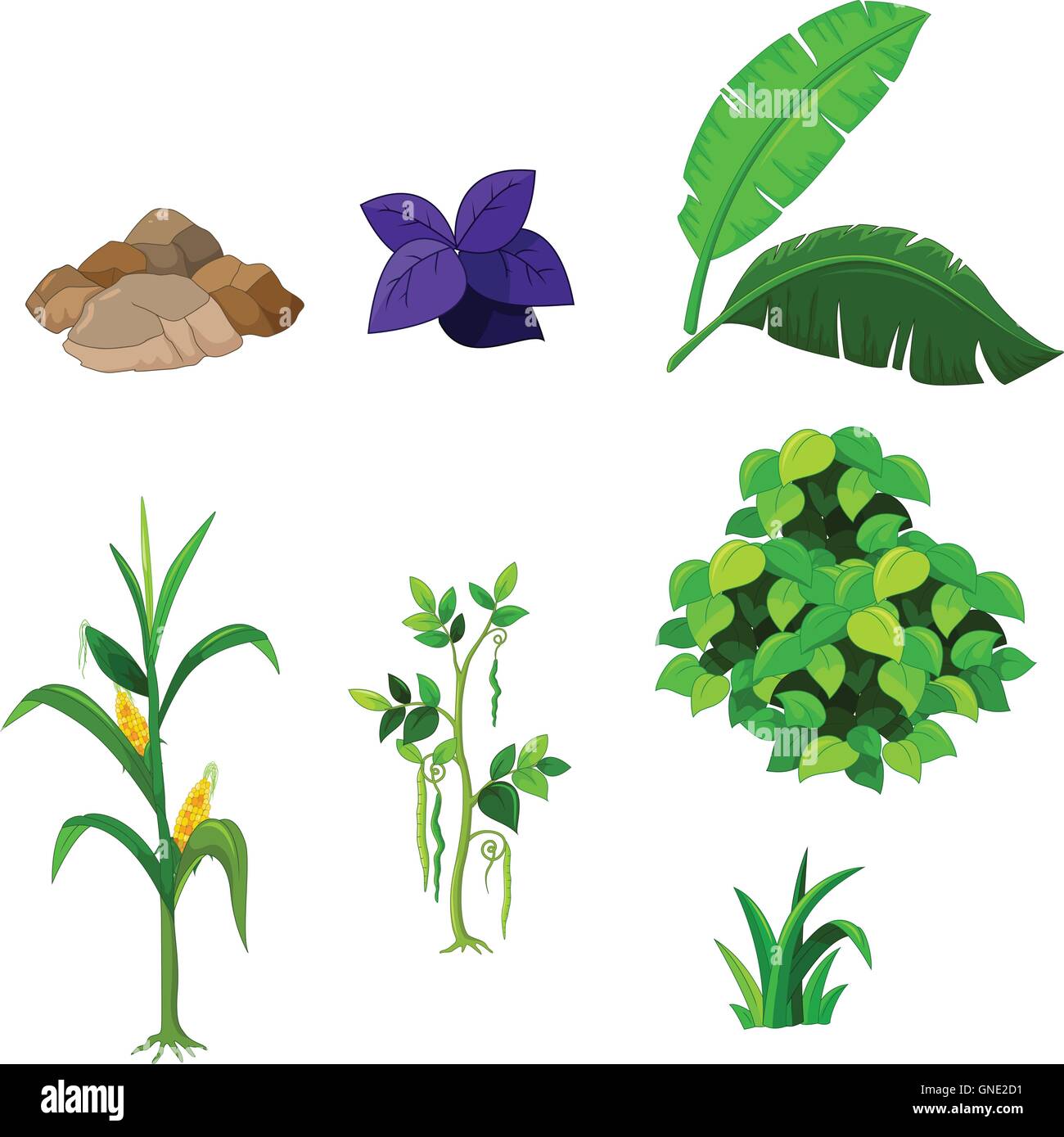 Impianti vari cartoon impostata per la progettazione Illustrazione Vettoriale