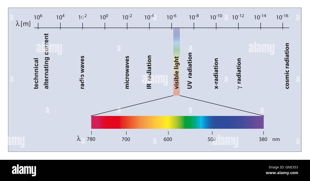 Spettro delle onde elettromagnetiche con lunghezza d onda Foto Stock
