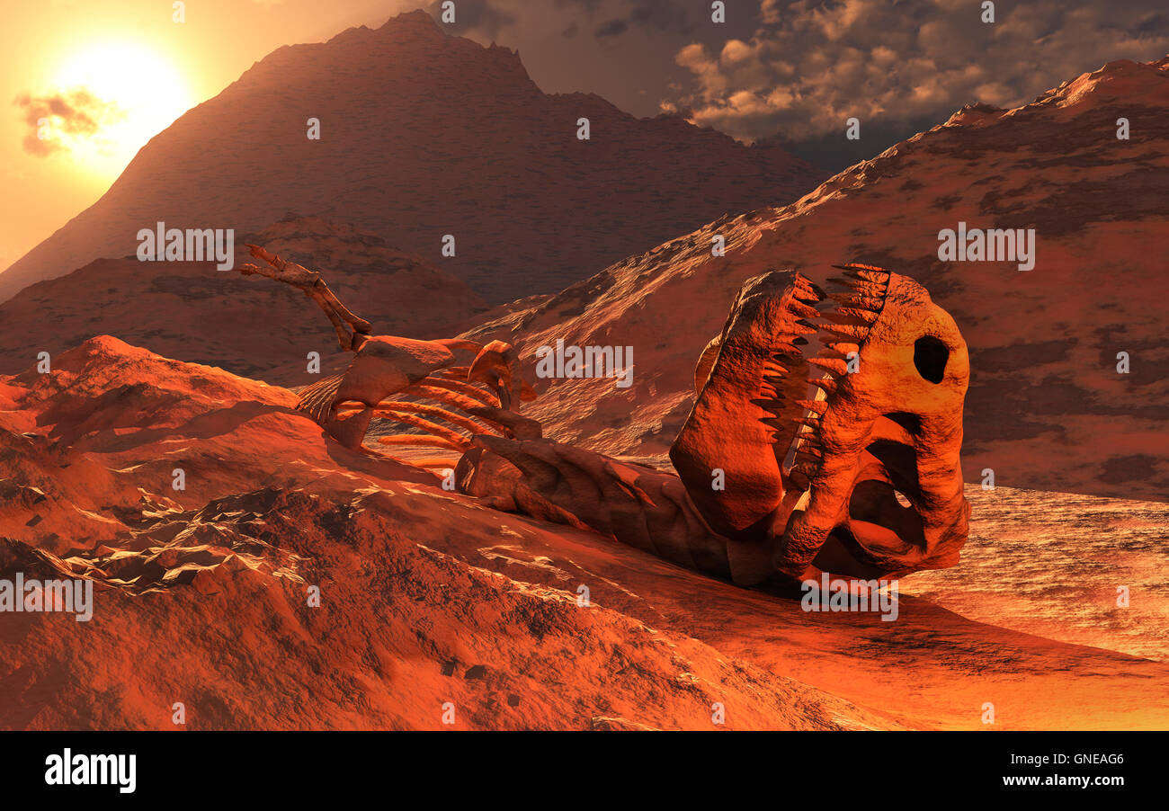 Un T.REX scheletro fossile. Foto Stock