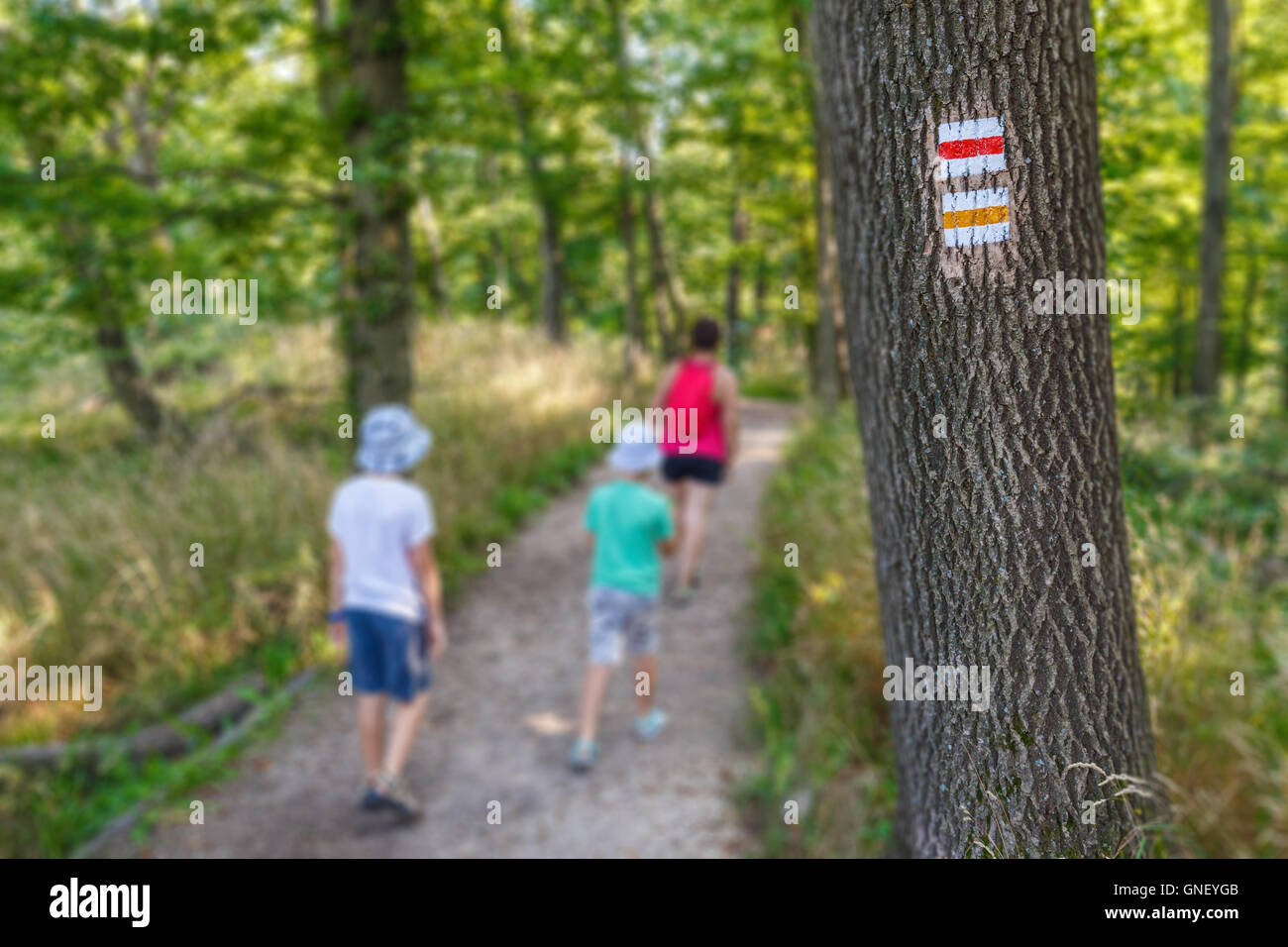 Cartello turistico su albero, femminili e di bambini tourist in background Foto Stock