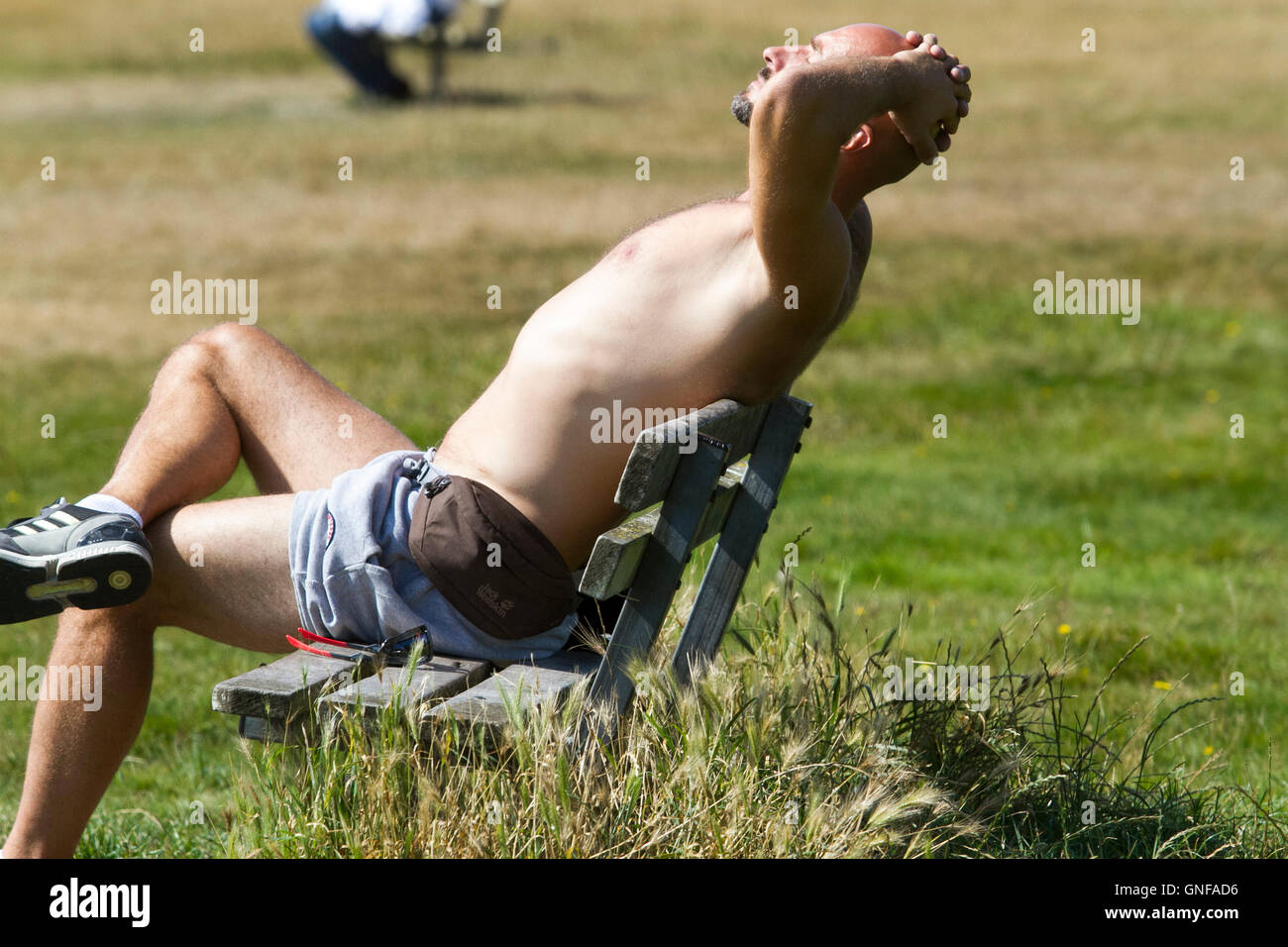 Il torneo di Wimbledon di Londra, Regno Unito. Il 30 agosto, 2016. Le persone che si godono la shunshine e caldo su Wimbledon Common Credit: amer ghazzal/Alamy Live News Foto Stock