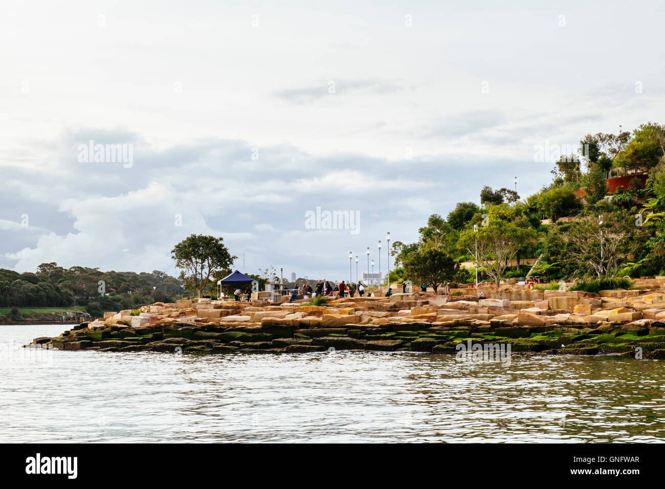 Lo spaccato, molo di Barangaroo Riserva, il Porto di Sydney, Sydney, Nuovo Galles del Sud, Australia Foto Stock