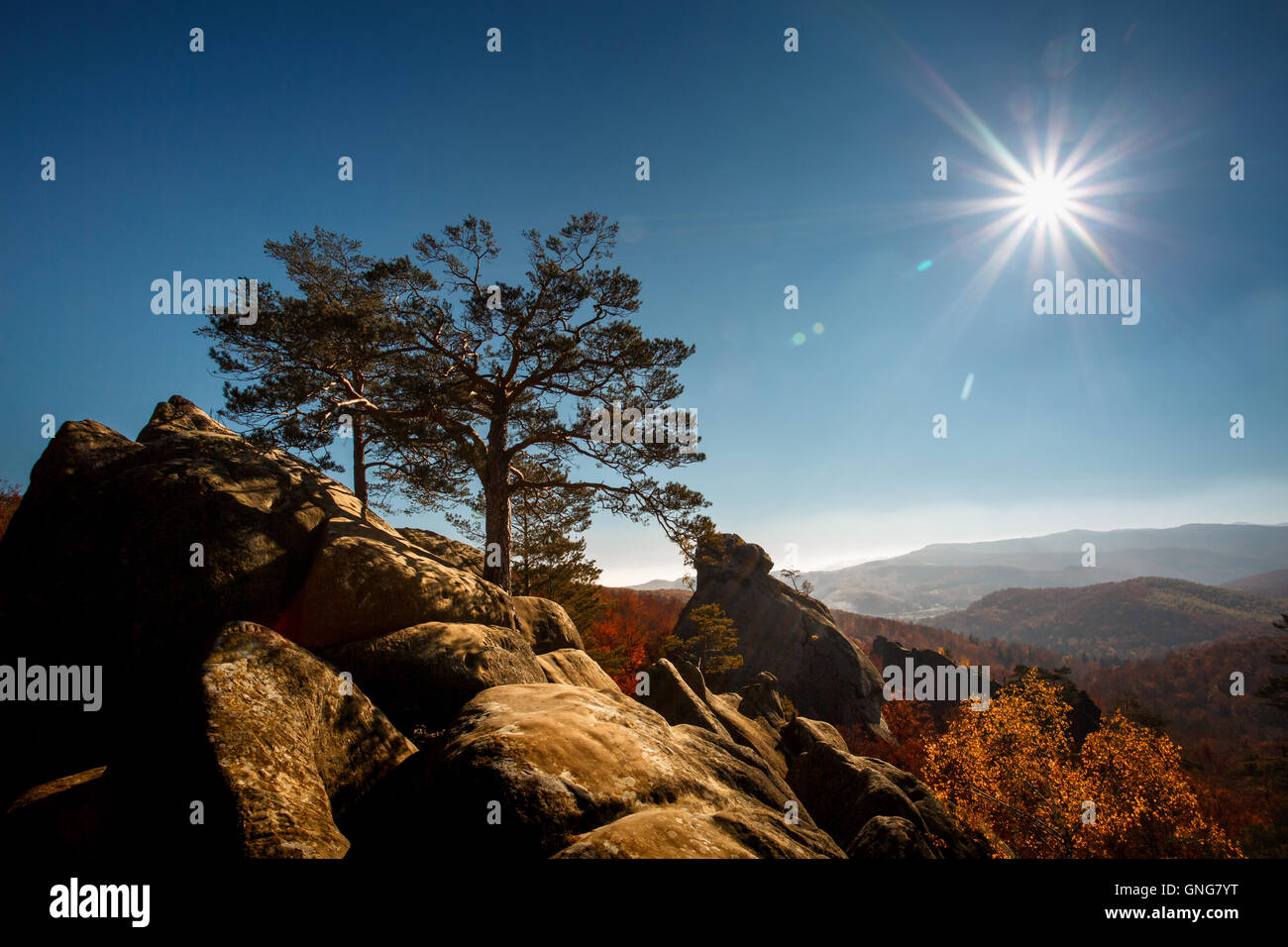 Albero su un top mountain sotto il cielo blu nella giornata di sole Foto Stock