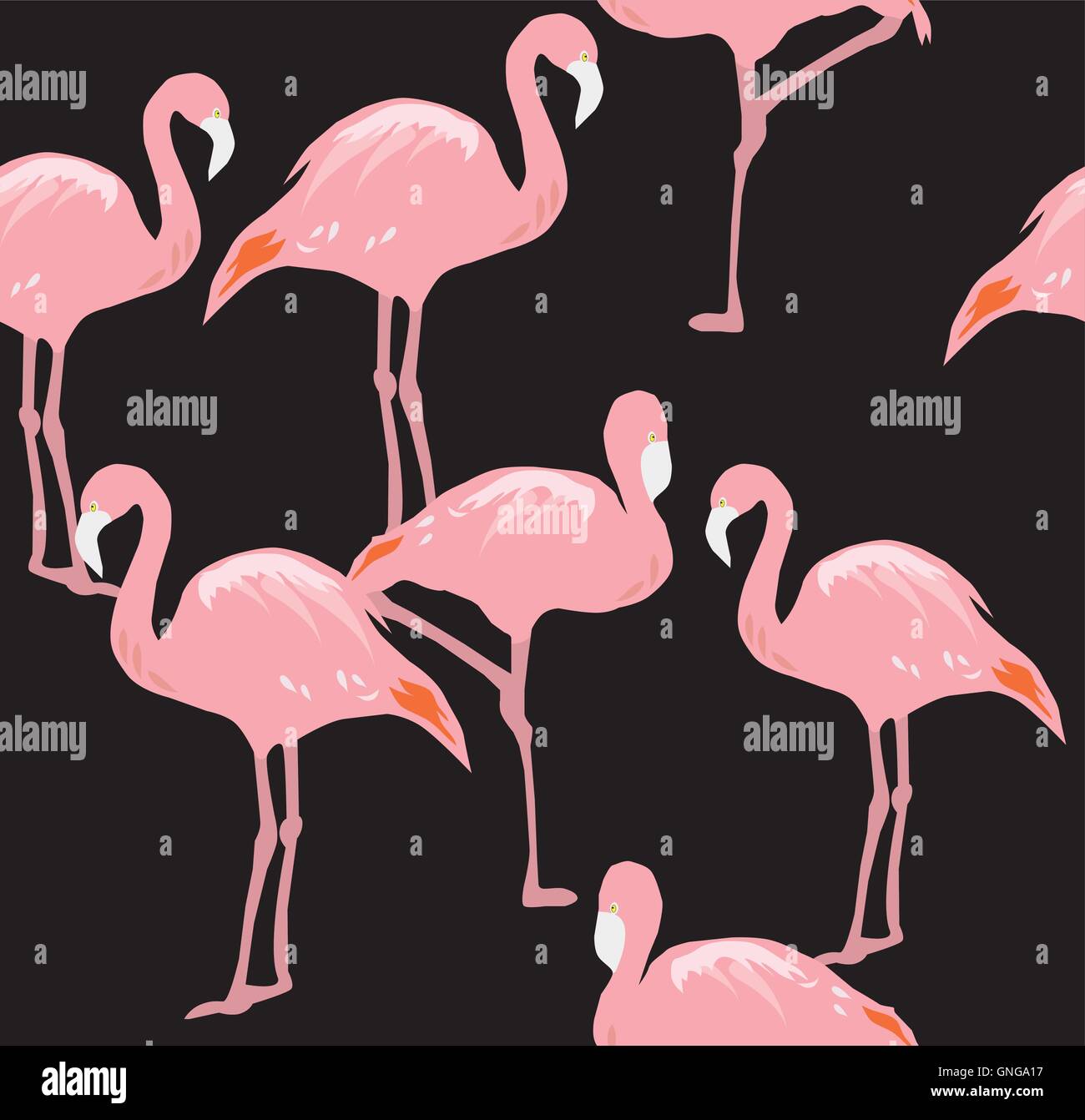 Vector flamingo sfondo senza giunture Illustrazione Vettoriale