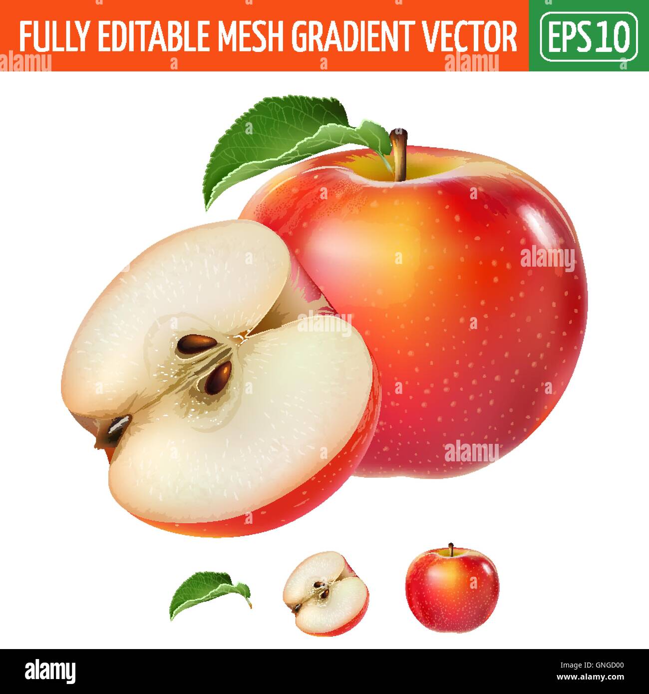 Apple rosso su sfondo bianco. Illustrazione Vettoriale Illustrazione Vettoriale