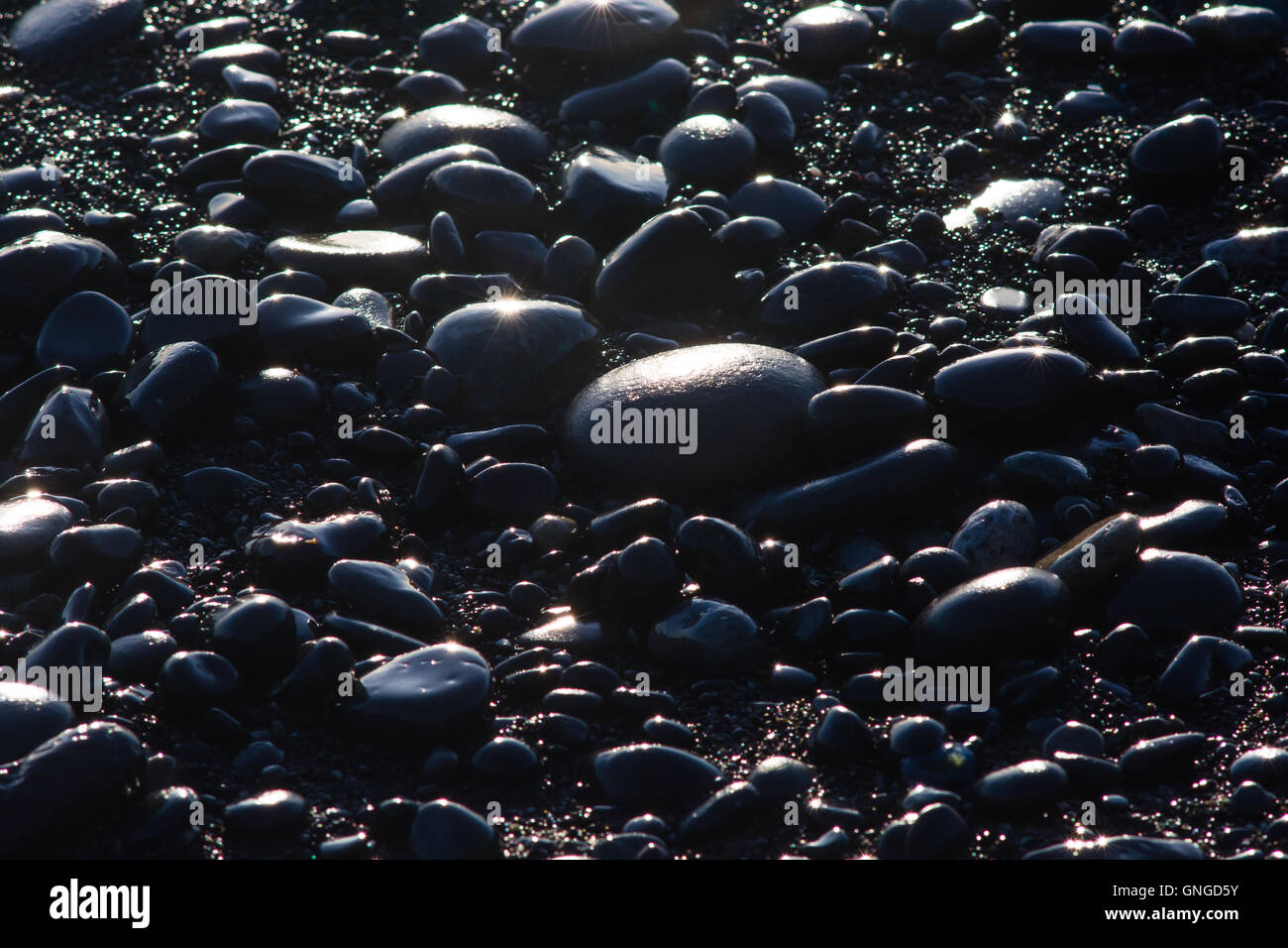 Rocce nere glisten nel sole di setting a Rialto Beach nel Parco Nazionale di Olympic, Washington, USA Foto Stock