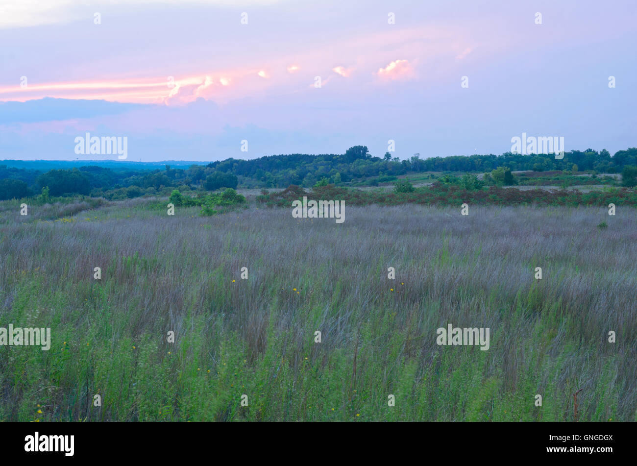 Grigio dune di cloud e scientifico area naturale in cottage Grove minnesota Foto Stock