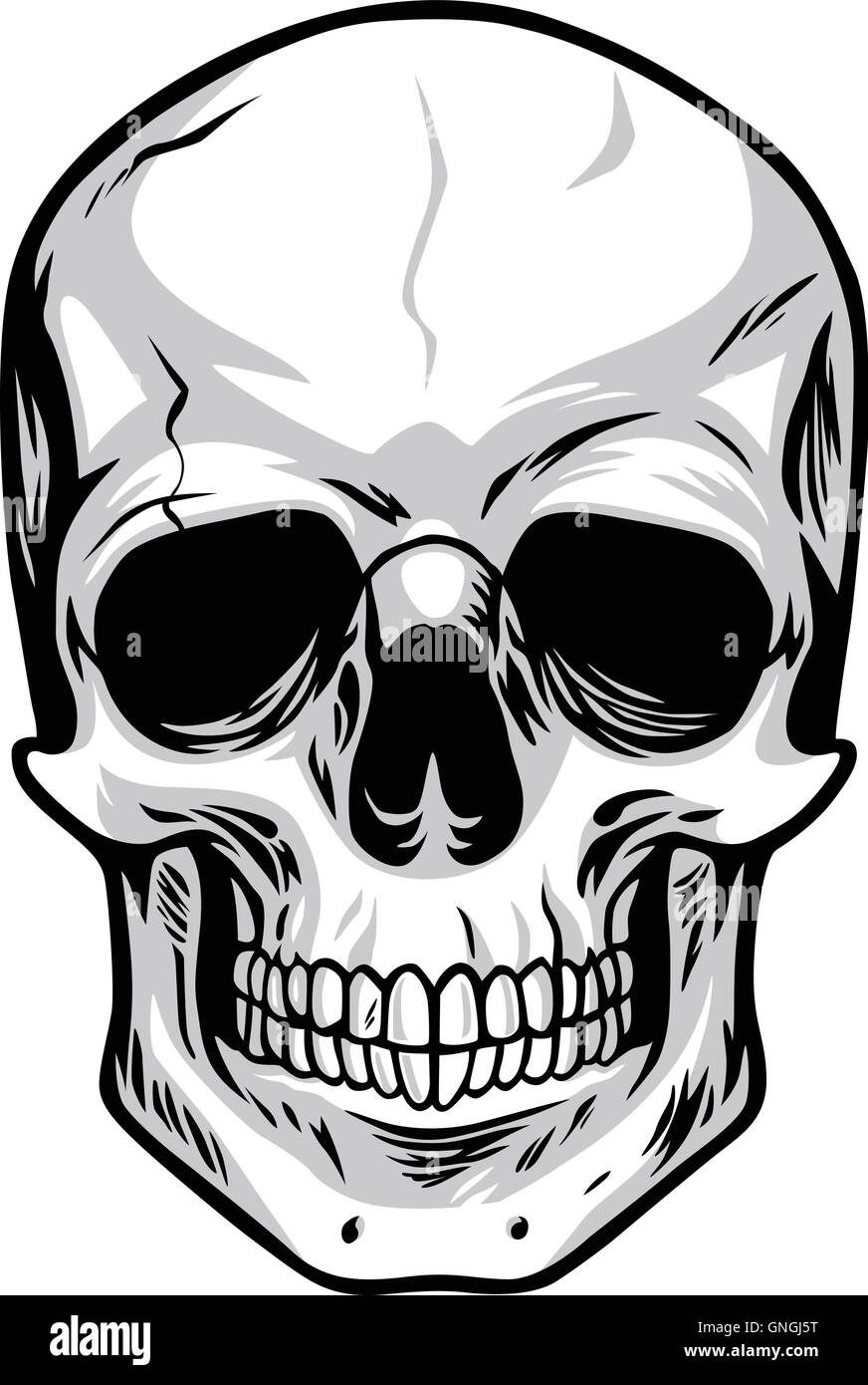 Vettore del cranio Illustrazione Vettoriale