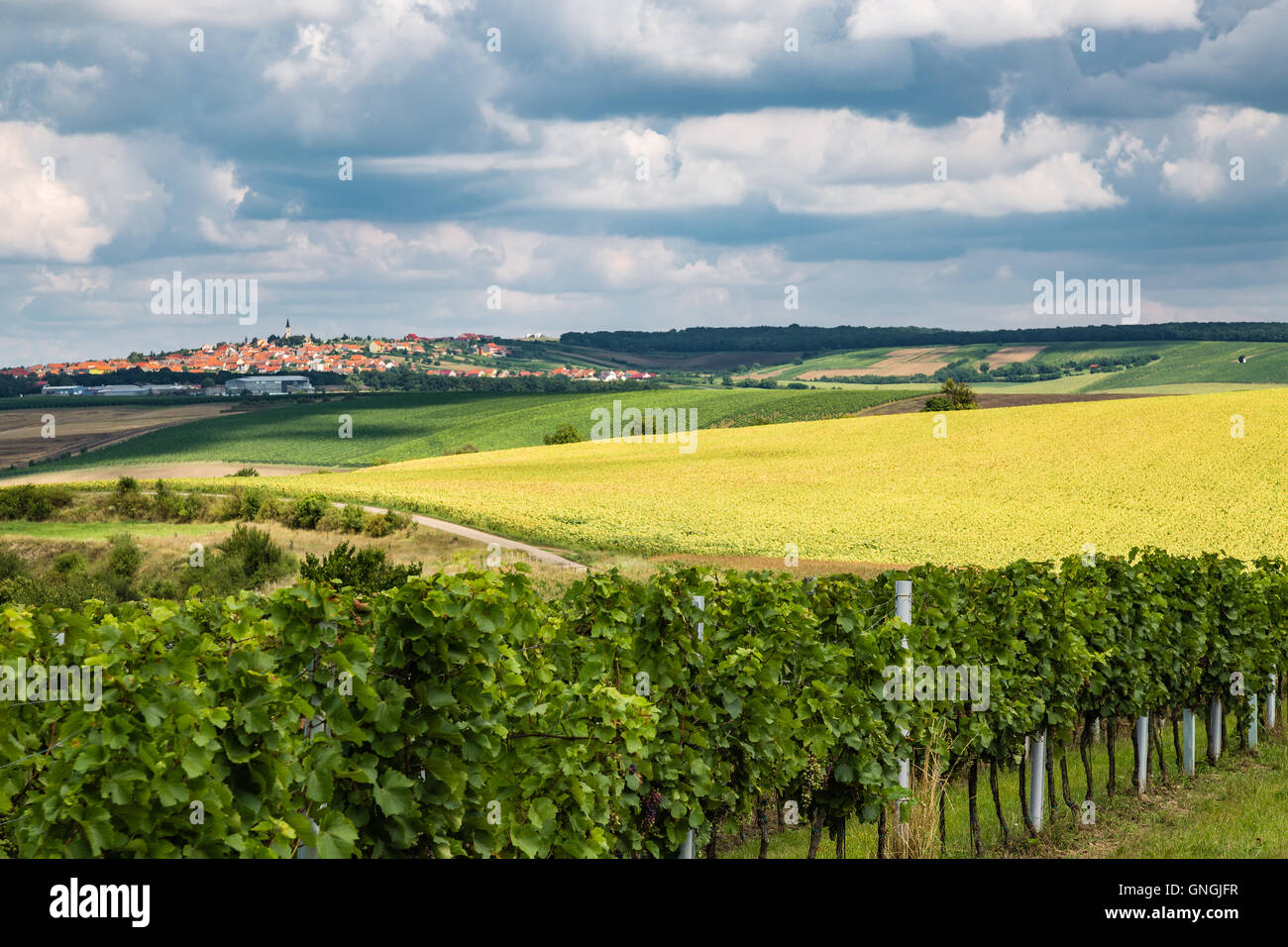 Vista del villaggio di boretice lookout point hradistek, Moravia Repubblica Ceca Foto Stock