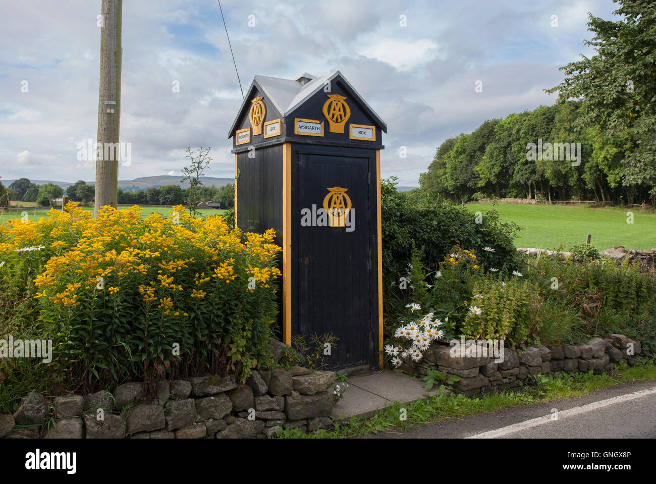 AA casella Telefono in Aysgarth North Yorkshire conosciuto anche come garitta. Questa è la casella AA 442 sulla A684 nei pressi di West Burton nel North Yorkshire. Foto Stock