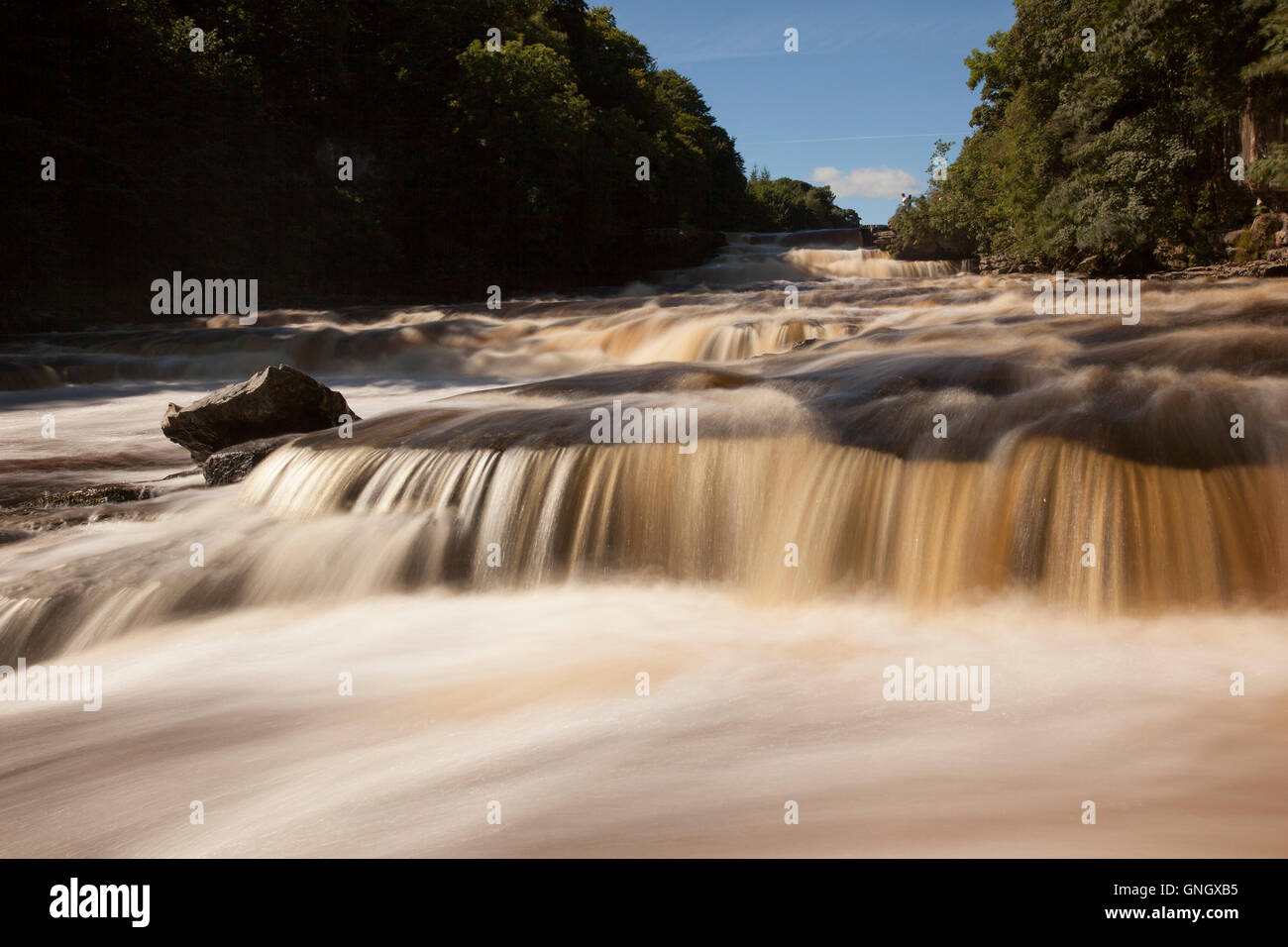 Il Aysgarth Cade vicino a Aysgarth sul Fiume Ure , Wensleydale , Yorkshire Dales Foto Stock