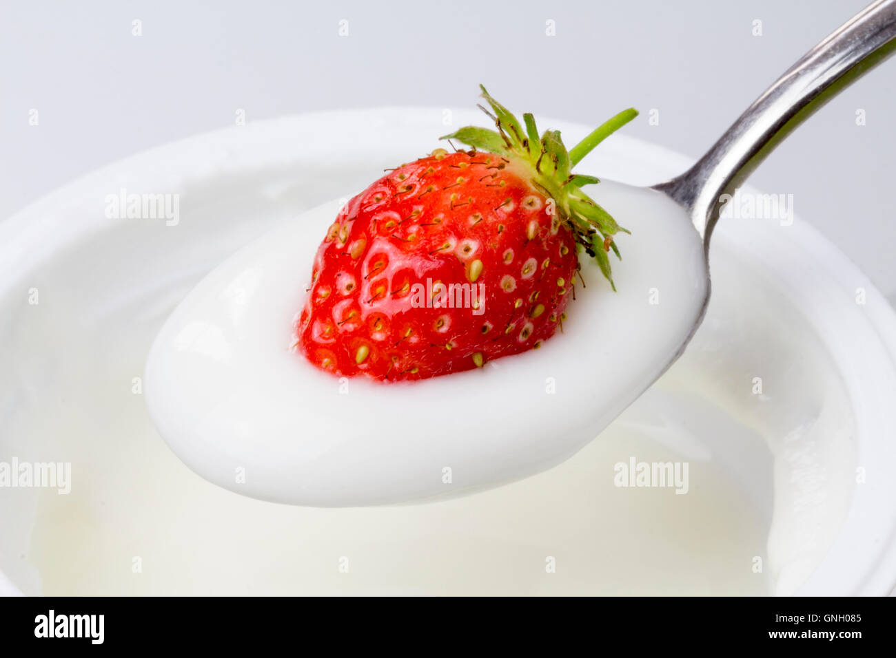 Close-up di 1 cucchiaio di yogurt con fragole Foto Stock