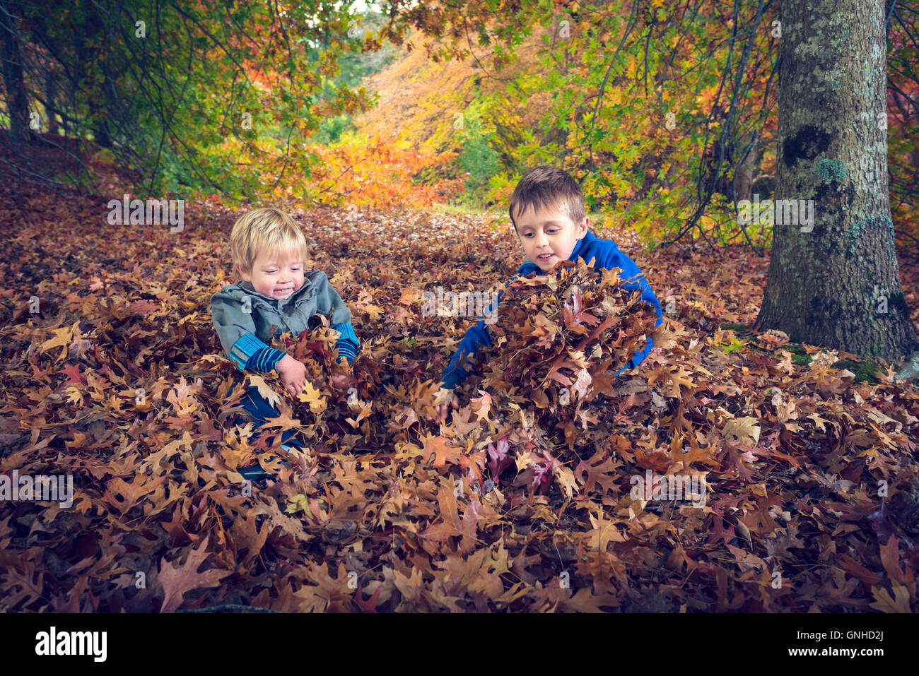 Contenti i bambini a giocare con le foglie di autunno nel parco. Color-tonificante applicato Foto Stock