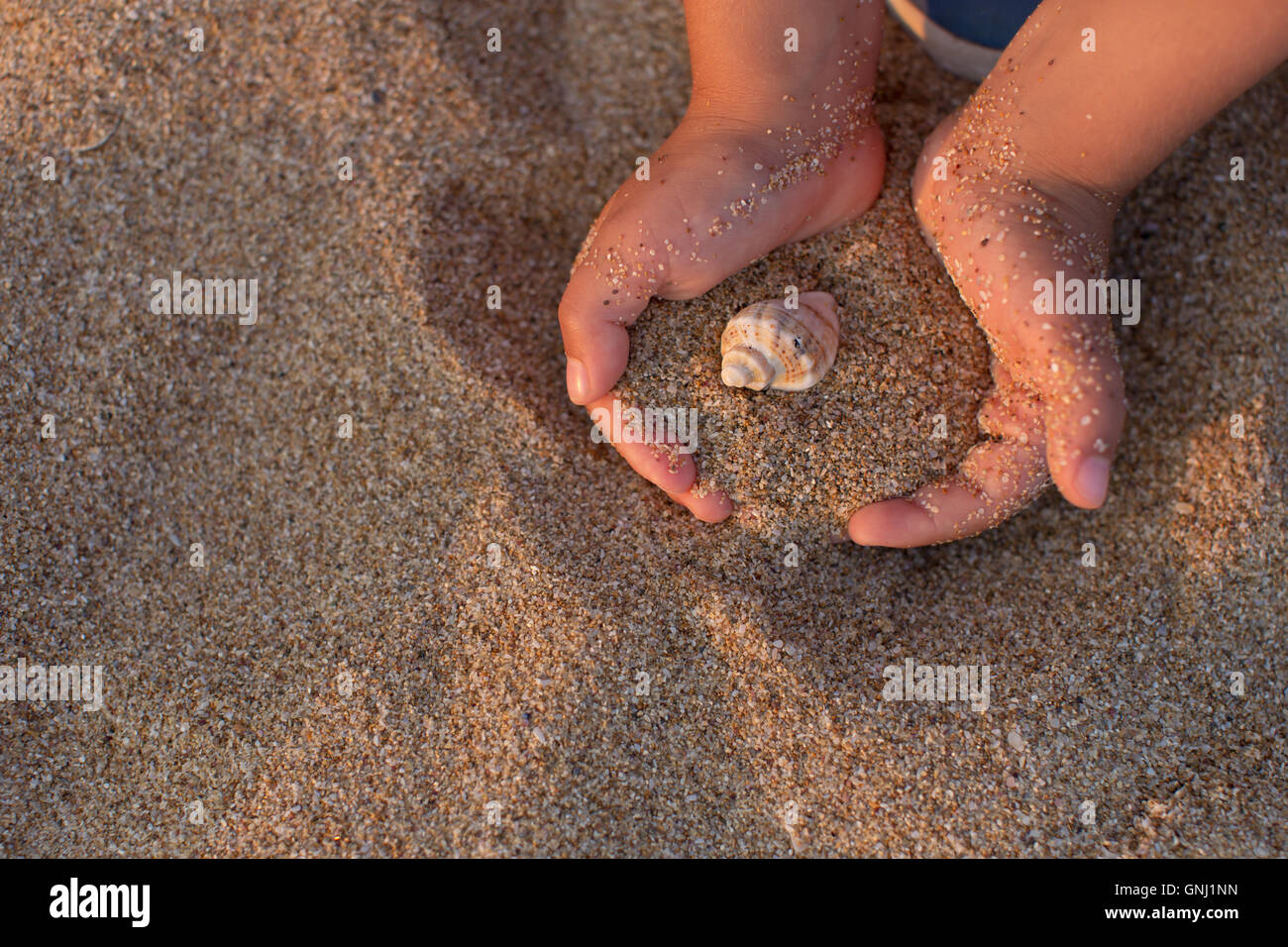 Ragazzo tenendo la sabbia e conchiglia nelle sue mani Foto Stock