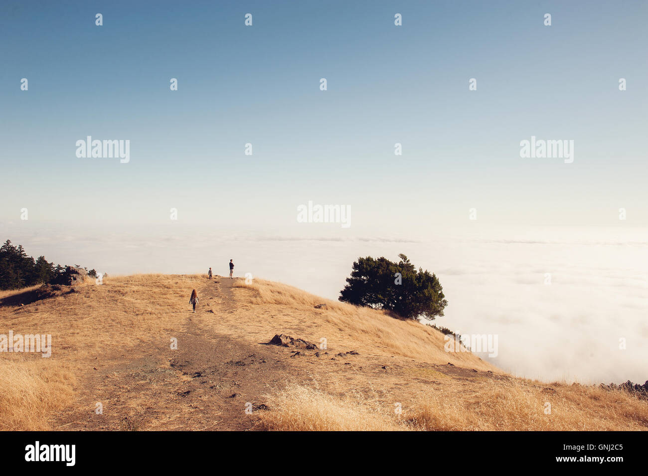 Padre e due bambini trekking, Mount Tamalpais, California, Stati Uniti Foto Stock