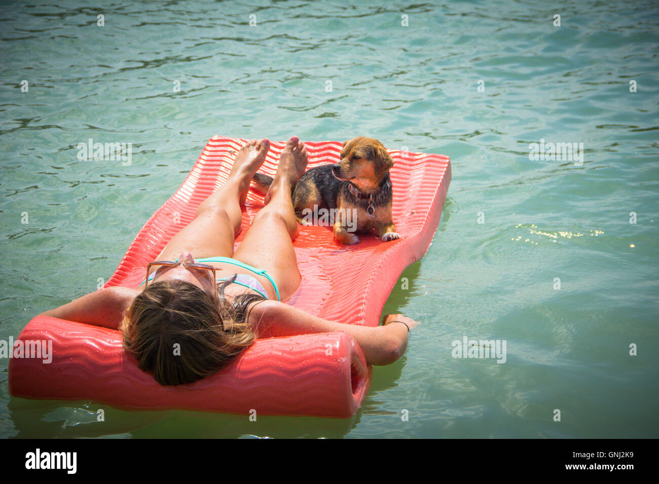 Donna sdraiata sulla floating materasso Materasso per piscina con cane beagle Foto Stock