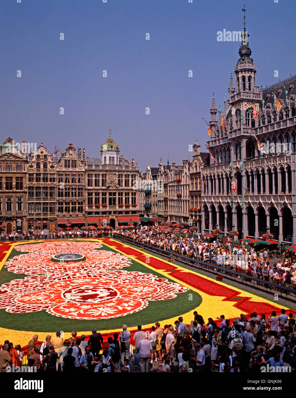Tappeto di fiori nella Grand Place di Bruxelles, in Belgio Foto Stock