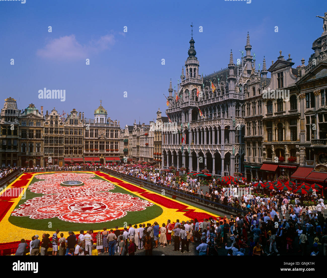 Tappeto di fiori nella Grand Place di Bruxelles, in Belgio Foto Stock