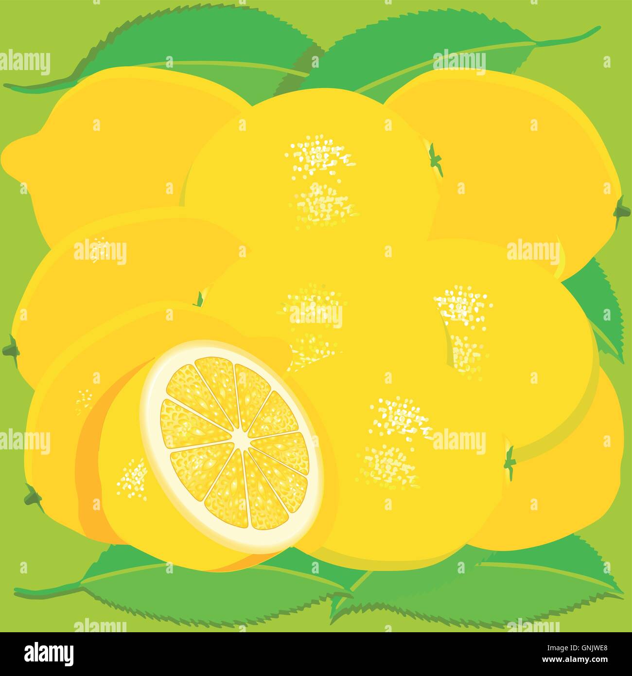 Limone con foglie Illustrazione Vettoriale