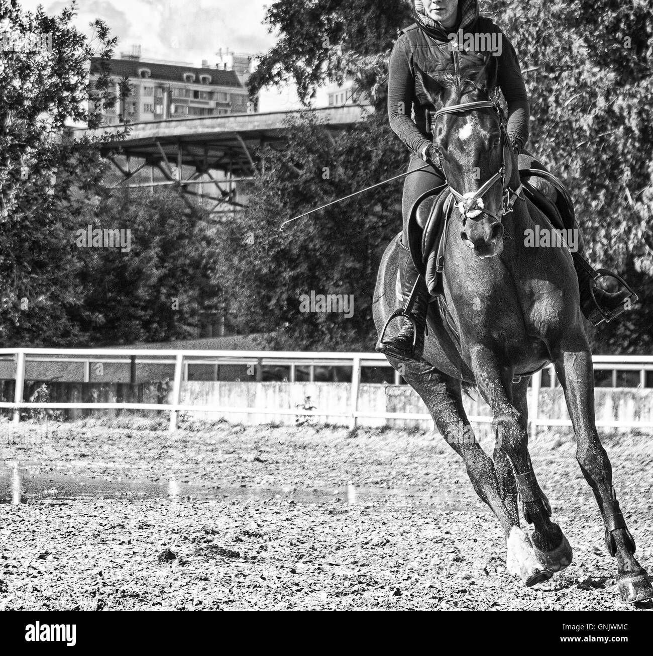 Ragazza in sella ad un cavallo Foto Stock