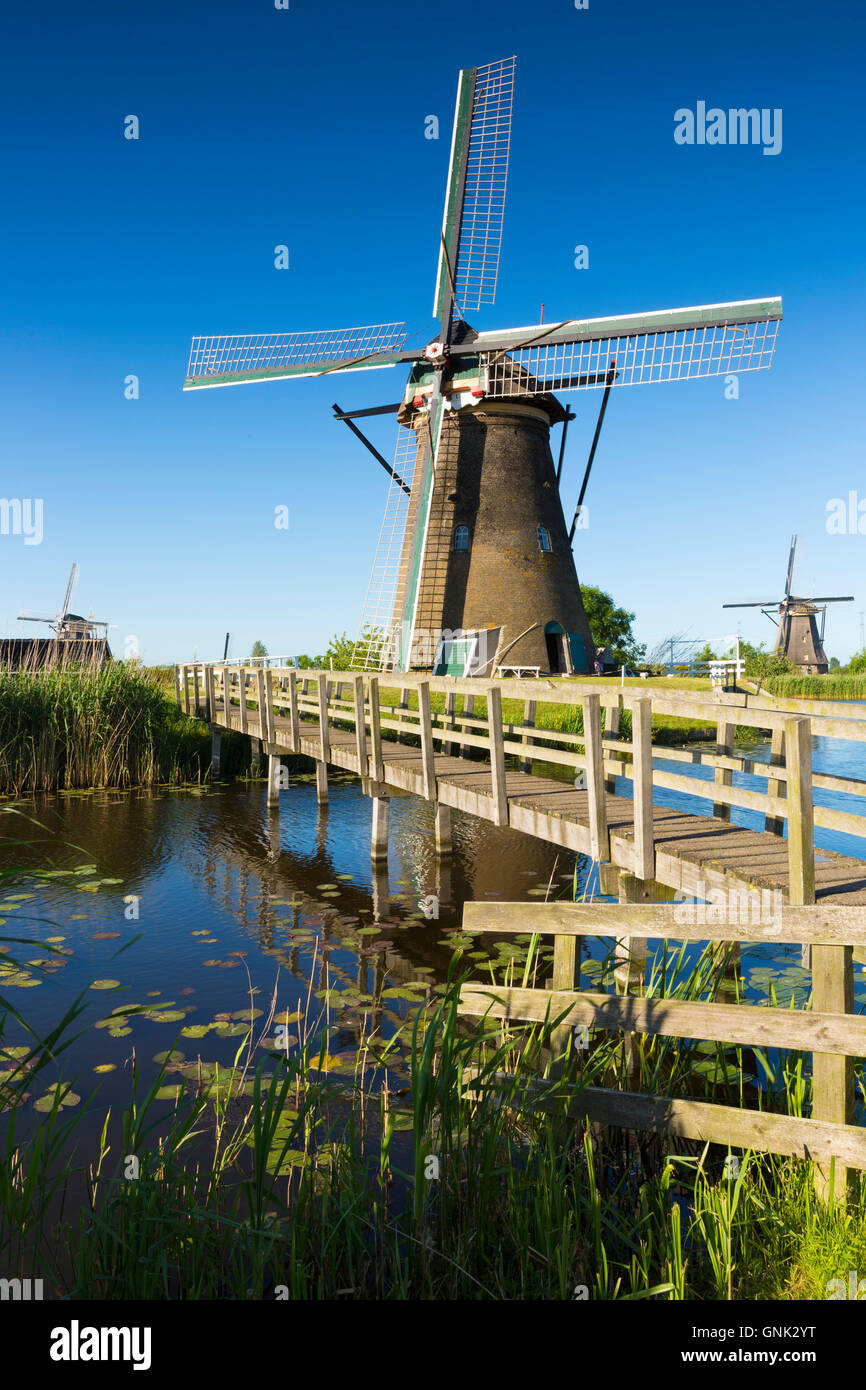 Passerella per gruppo di autentici mulini a vento a Kinderdijk UNESCO World Heritage Site, polder, anatre su dyke, Olanda Foto Stock