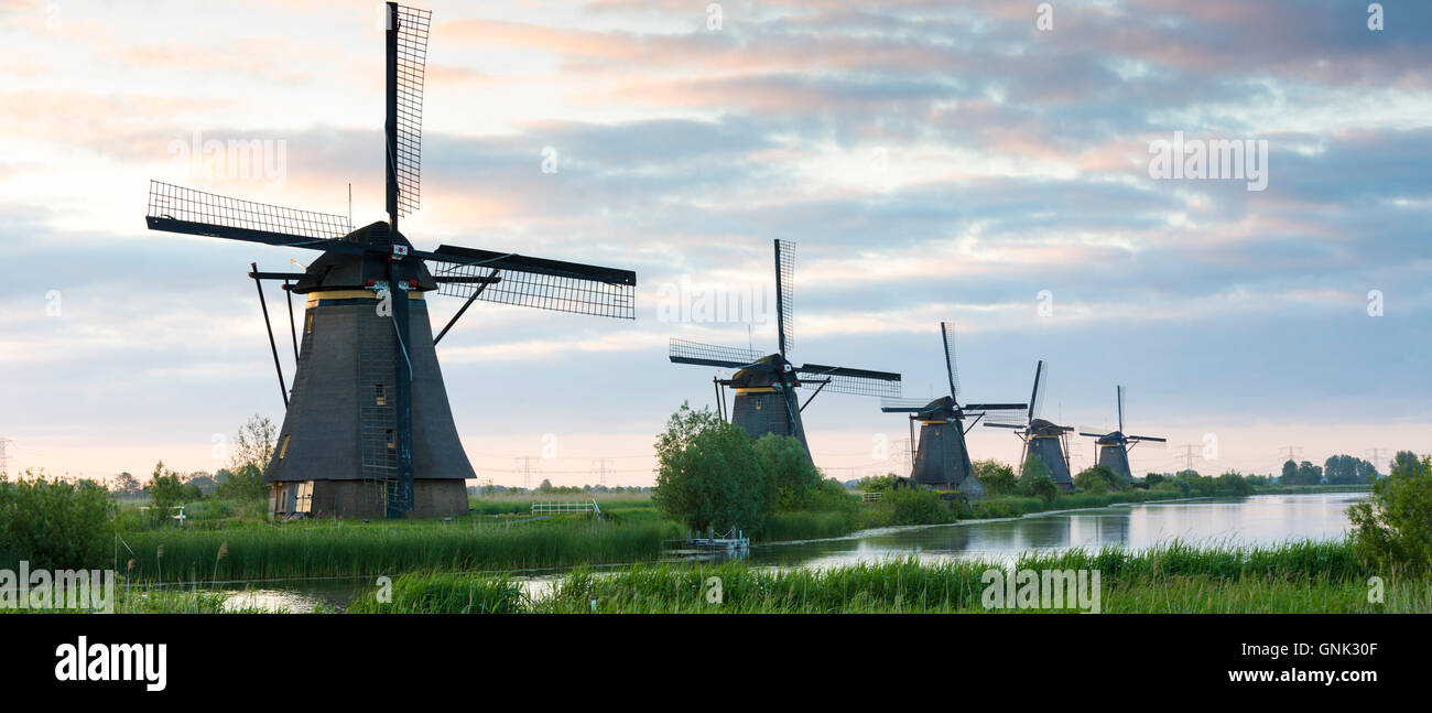 Gruppo di autentici mulini a vento la mattina presto a Kinderdijk UNESCO World Heritage Site, polder, dyke, Holland, Paesi Bassi Foto Stock