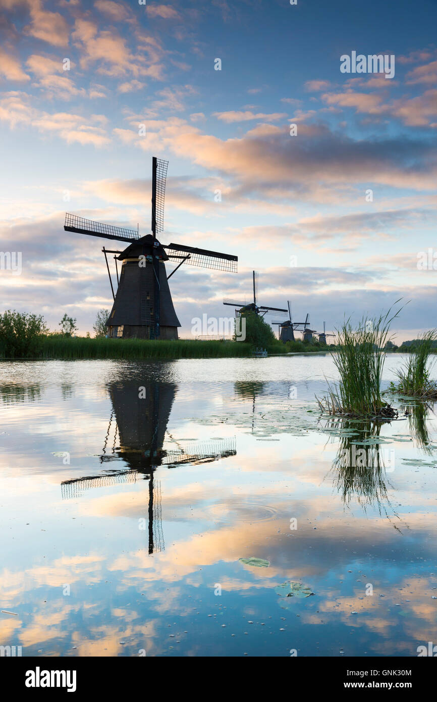 Gruppo di mulini a vento di autentica riflessione in polder dyke prima mattinata a Kinderdijk UNESCO World Heritage Site, Olanda Foto Stock