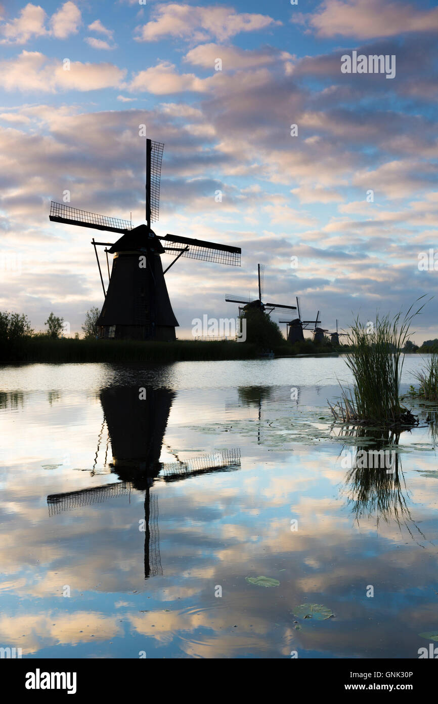 Gruppo di mulini a vento di autentica riflessione in polder dyke prima mattinata a Kinderdijk UNESCO World Heritage Site, Olanda Foto Stock