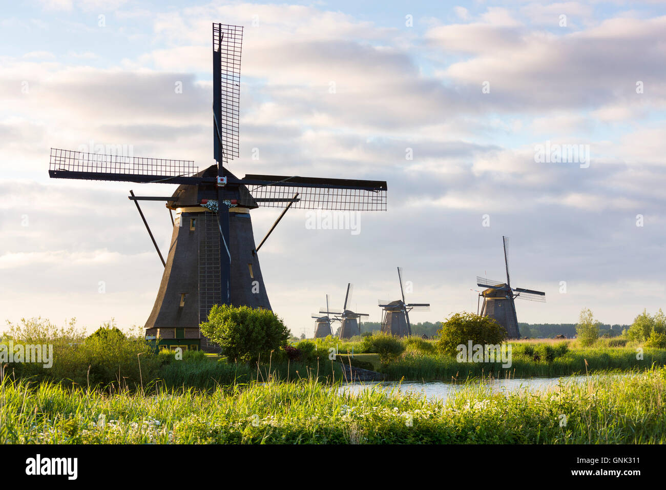 Gruppo di autentici mulini a vento la mattina presto a Kinderdijk UNESCO World Heritage Site, polder, dyke, Holland, Paesi Bassi Foto Stock