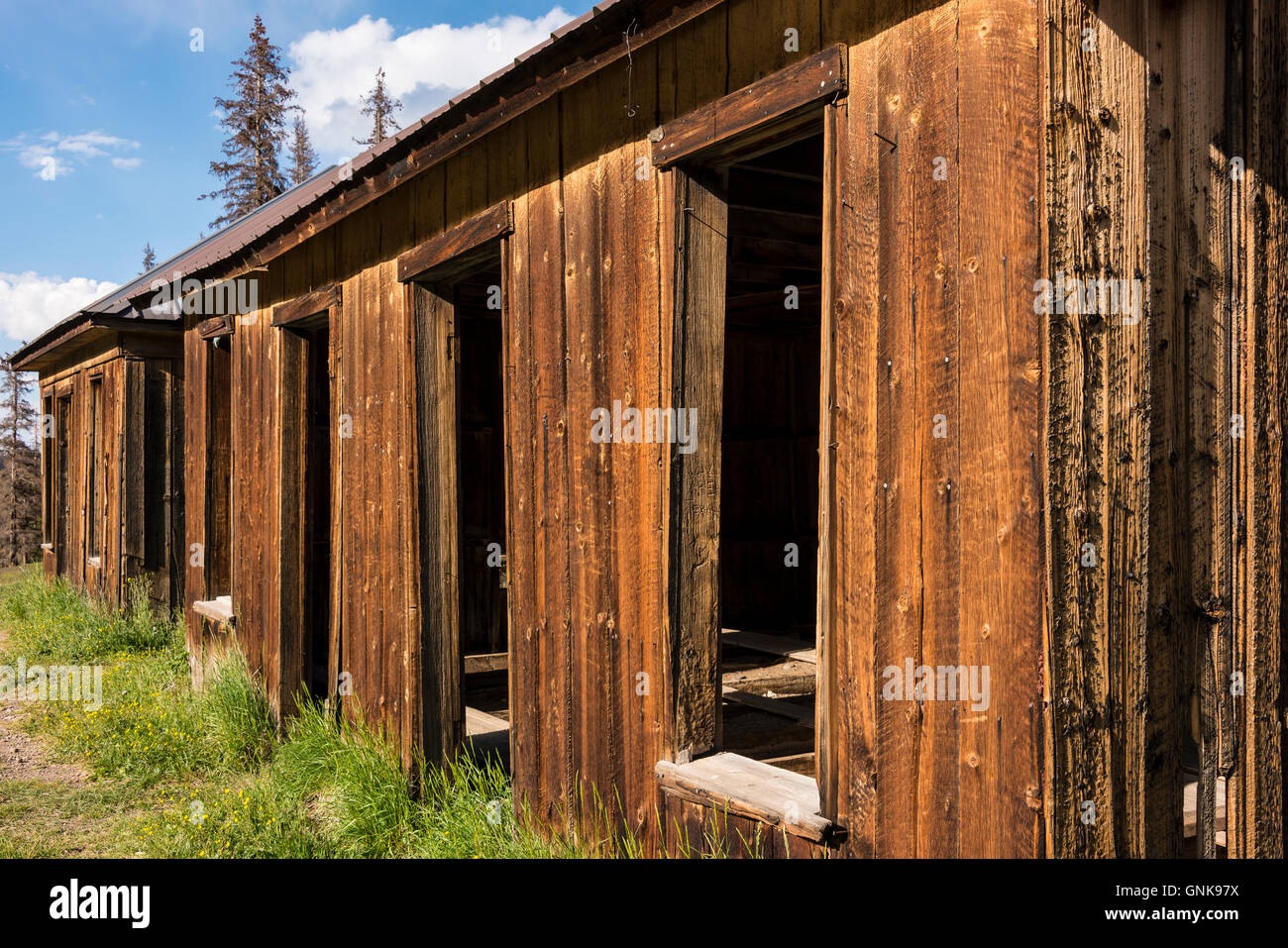 Carson ghost town off il Loop Alpine Scenic Byway vicino al lago di città, Colorado. Foto Stock
