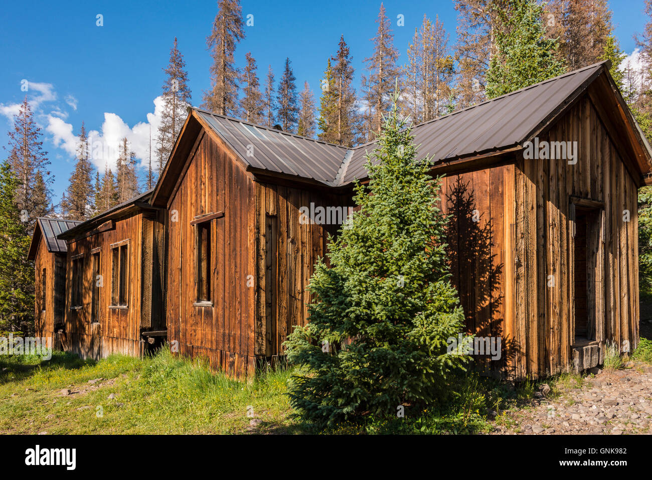 Carson ghost town off il Loop Alpine Scenic Byway vicino al lago di città, Colorado. Foto Stock