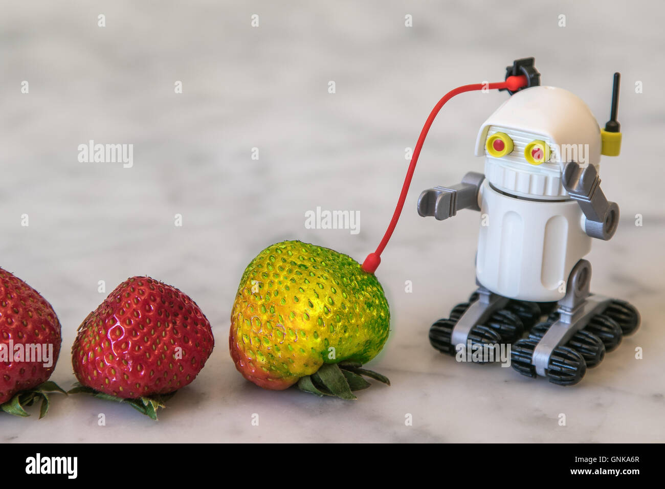 Un giocattolo di un robot spaziale con fragole Foto Stock
