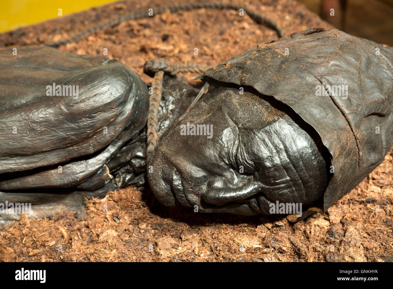 Antica statua in bronzo di Tollund Man, bog corpo dall'età del ferro, al Museo Silkeborg in Danimarca Foto Stock