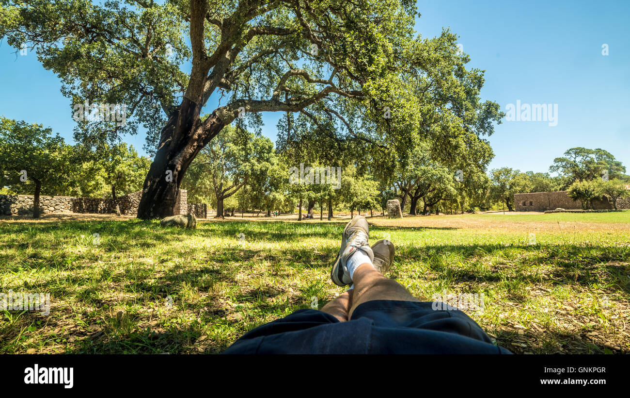 L'uomo bianco giacente in un parco rilassante Foto Stock