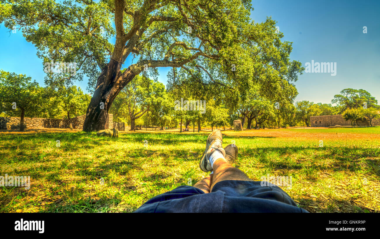 L'uomo bianco giacente in un parco rilassante Foto Stock