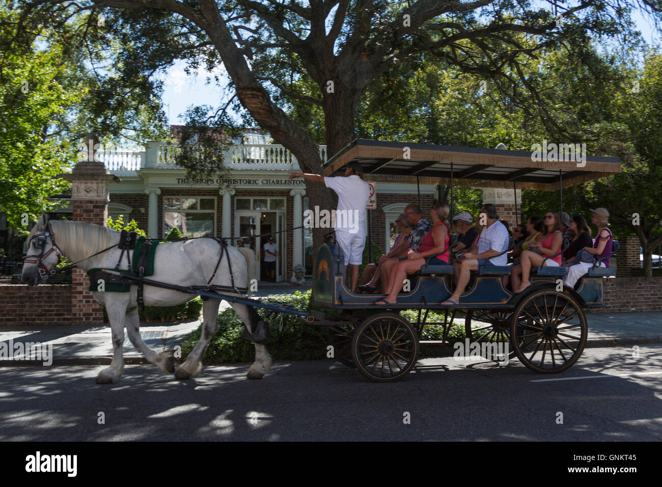 Cavallo e Carrozza incontro Street Downtown Charleston South Carolina USA Foto Stock